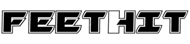 Feethit Logo