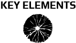 KEY ELEMENTS Logo